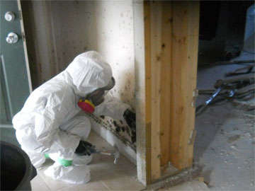 Hydroizolace a sanace budov